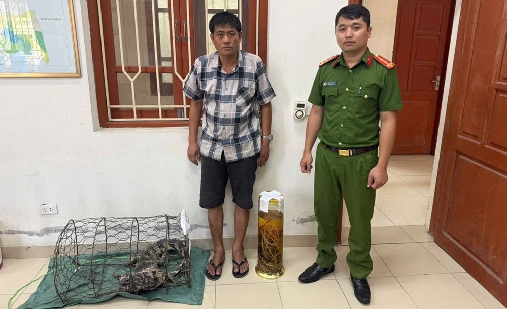 Khởi tố người đàn ông tàng trữ rượu ngâm tay gấu, nuôi nhốt cá sấu trái phép
